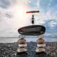 行﻿业​seo方​案​